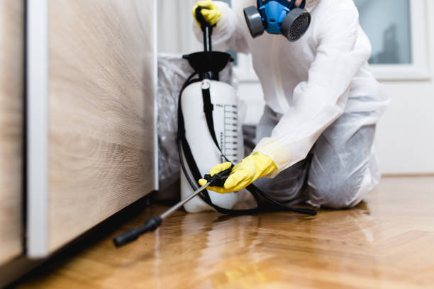 Best Commercial Pest Control Services  in Earlimart, CA