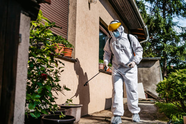 Pest Control for Restaurants in Earlimart, CA