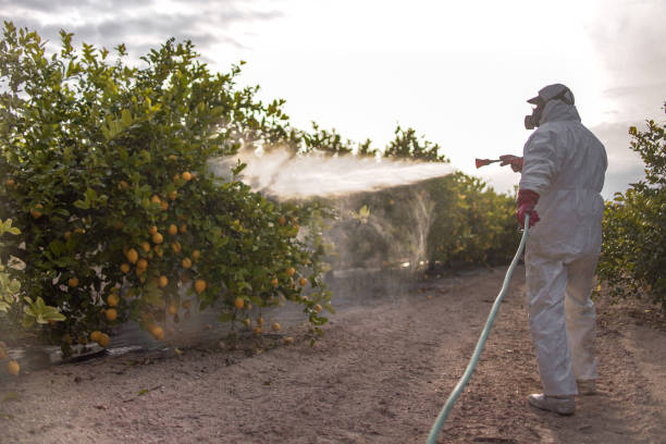 Best Cockroach Control Services  in Earlimart, CA